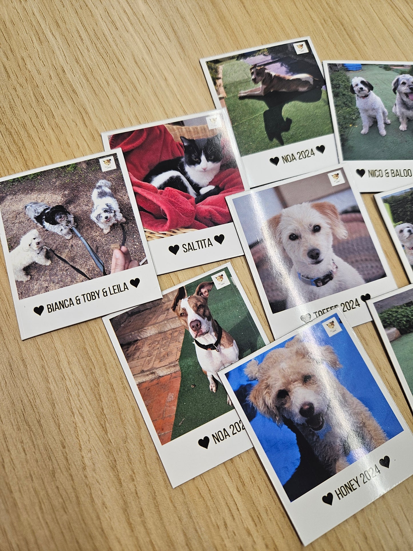 Polaroids magnéticas