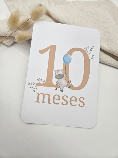 Cartões Milestone Animais